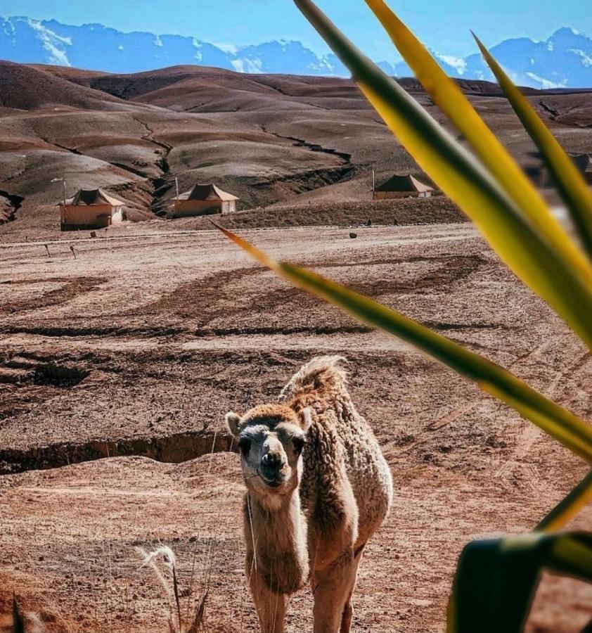 Campo de lujo Agafay Luxury Camp